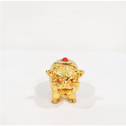 金猪