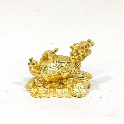 金龟龙