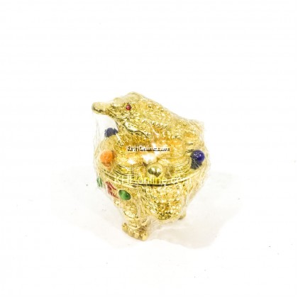 金三腿蟾蜍